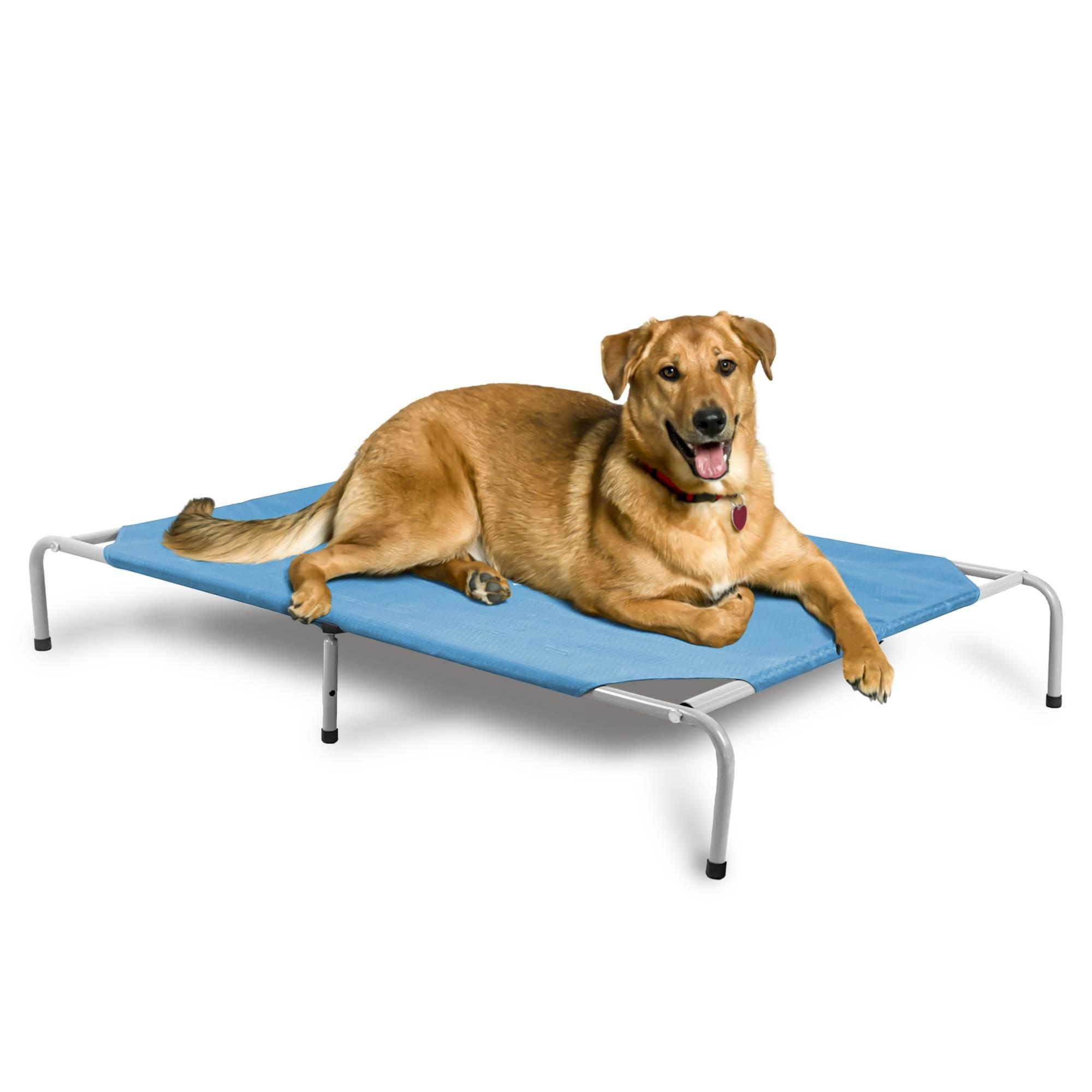 Cama Suspensa para Pet de Porte Grande - Azul